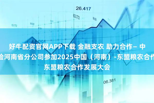 好牛配资官网APP下载 金融支农 助力合作— 中国人寿财险河南省分公司参加2025中国（河南）-东盟粮农合作发展大会