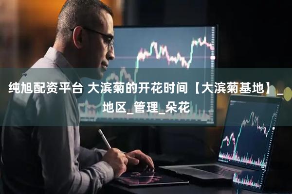 纯旭配资平台 大滨菊的开花时间【大滨菊基地】_地区_管理_朵花