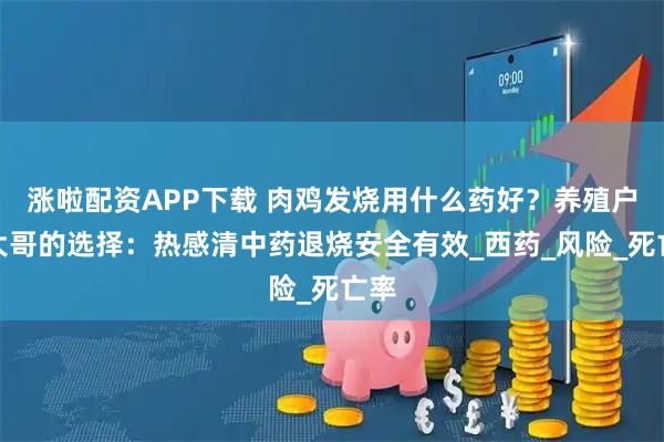 涨啦配资APP下载 肉鸡发烧用什么药好？养殖户张大哥的选择：热感清中药退烧安全有效_西药_风险_死亡率