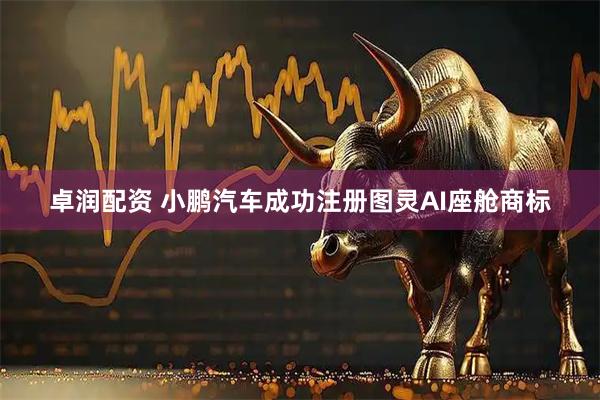 卓润配资 小鹏汽车成功注册图灵AI座舱商标