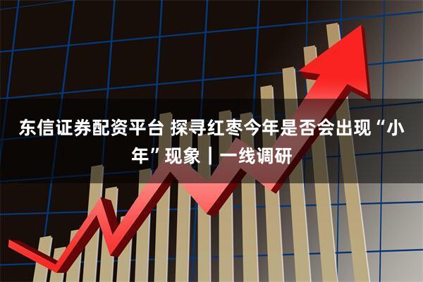 东信证券配资平台 探寻红枣今年是否会出现“小年”现象｜一线调研