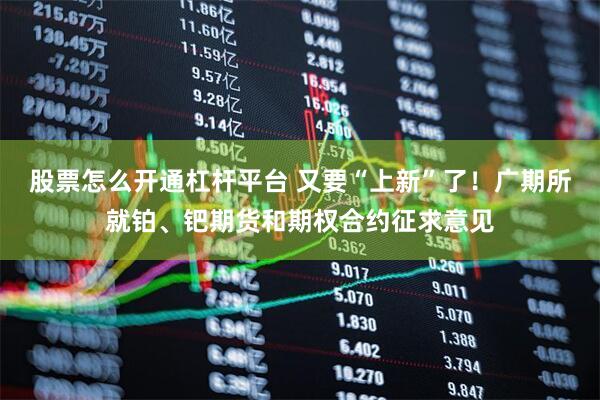 股票怎么开通杠杆平台 又要“上新”了！广期所就铂、钯期货和期权合约征求意见