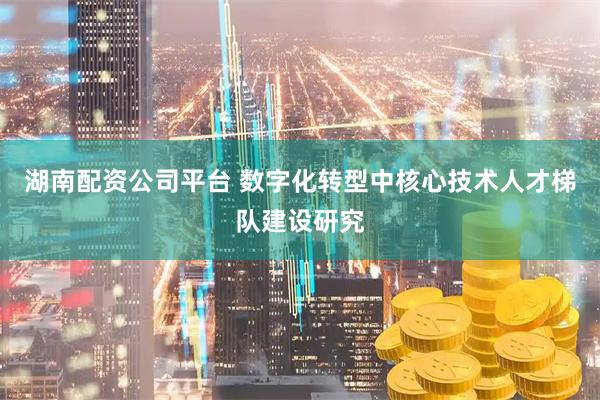 湖南配资公司平台 数字化转型中核心技术人才梯队建设研究