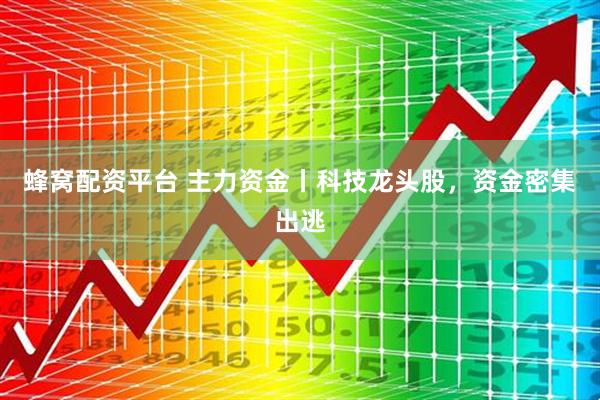 蜂窝配资平台 主力资金丨科技龙头股，资金密集出逃